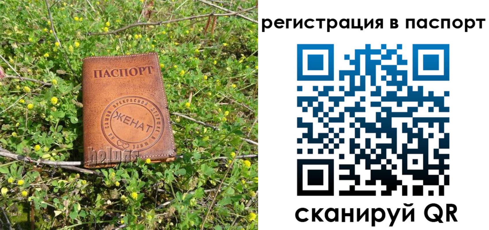 прописка законно в Щёкино
